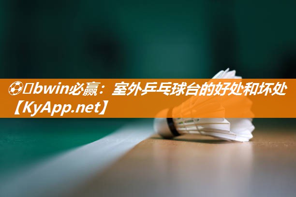 ⚽️bwin必赢：室外乒乓球台的好处和坏处