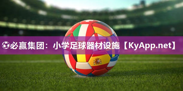 ⚽必赢集团：小学足球器材设施