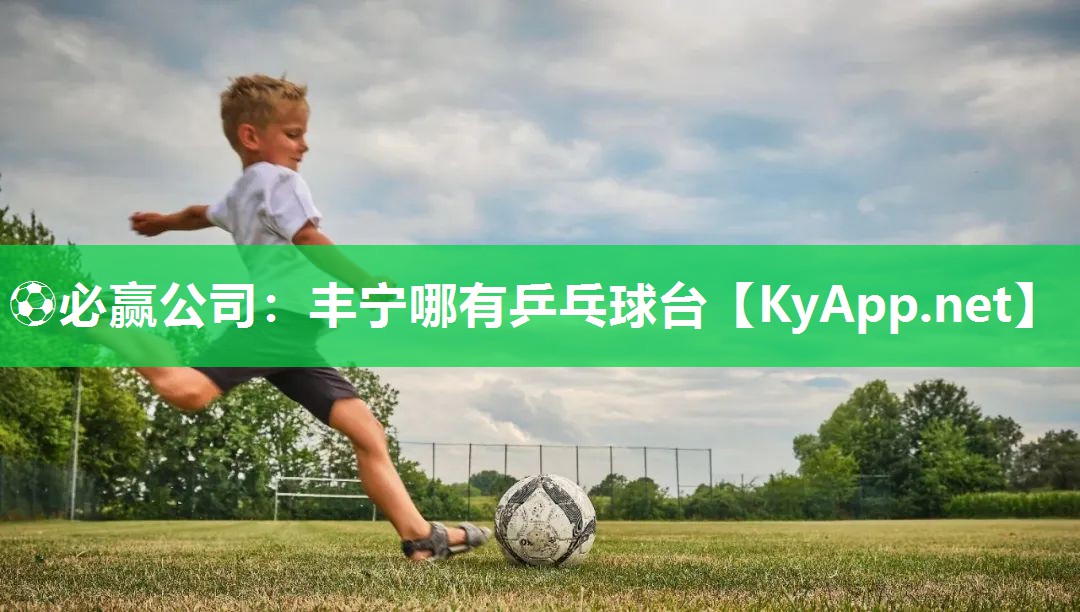 ⚽必赢公司：丰宁哪有乒乓球台