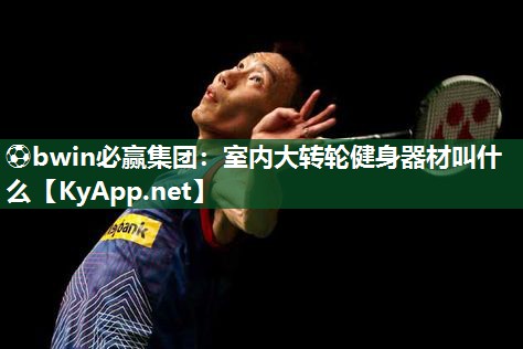 ⚽bwin必赢集团：室内大转轮健身器材叫什么