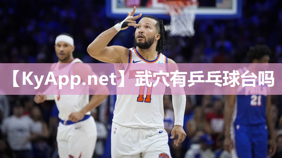 武穴有乒乓球台吗