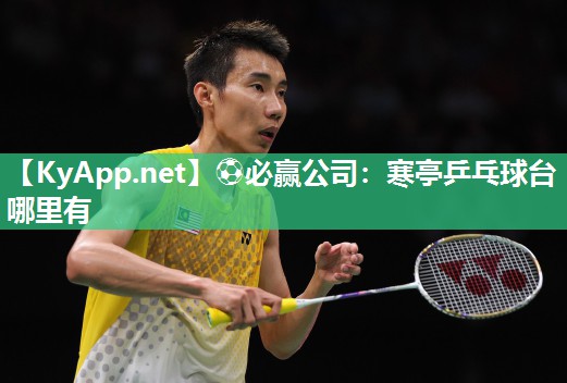 ⚽必赢公司：寒亭乒乓球台哪里有