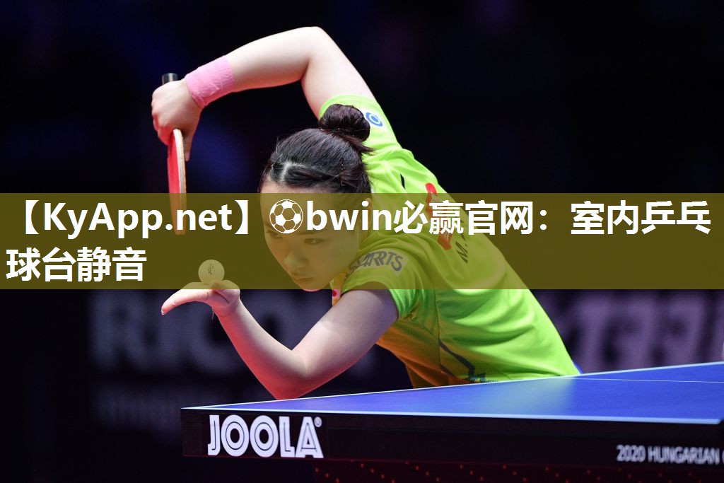 ⚽bwin必赢官网：室内乒乓球台静音