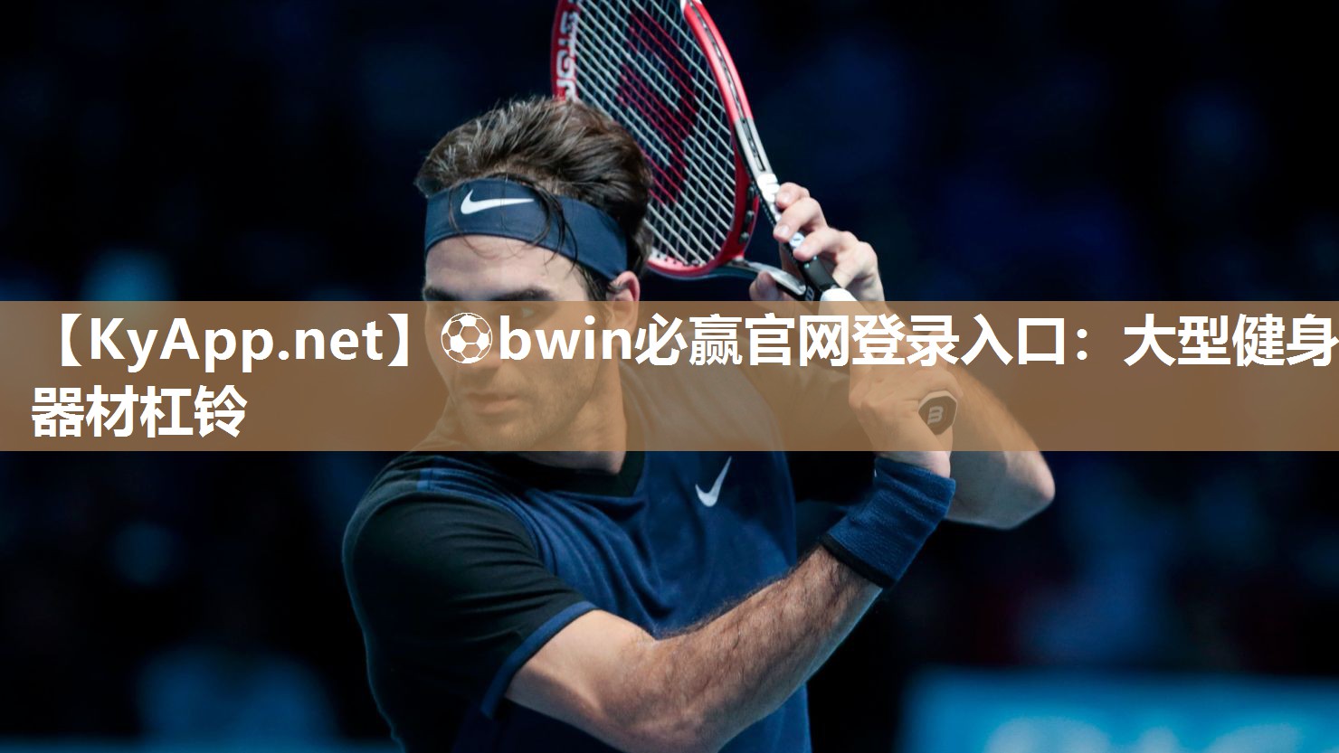 ⚽bwin必赢官网登录入口：大型健身器材杠铃