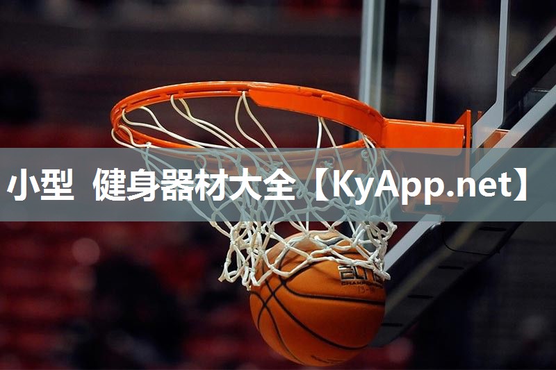 小型 健身器材大全