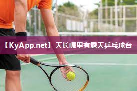 天长哪里有露天乒乓球台