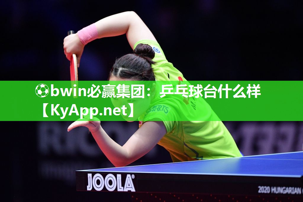 ⚽bwin必赢集团：乒乓球台什么样