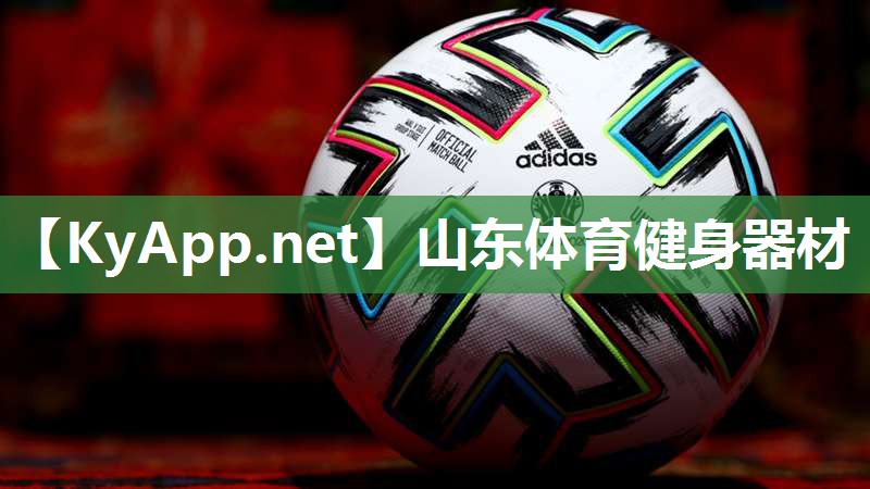 山东体育健身器材