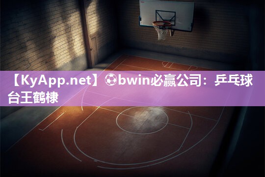 ⚽bwin必赢公司：乒乓球台王鹤棣