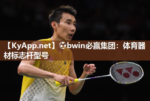 ⚽bwin必赢集团：体育器材标志杆型号