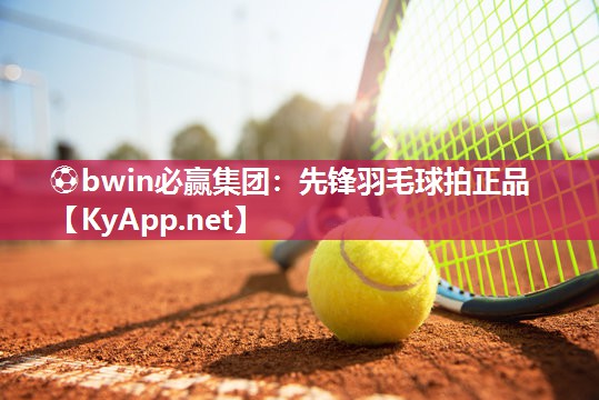 ⚽bwin必赢集团：先锋羽毛球拍正品