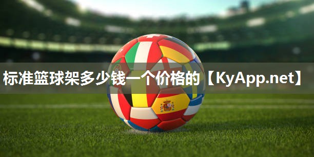 标准篮球架多少钱一个价格的