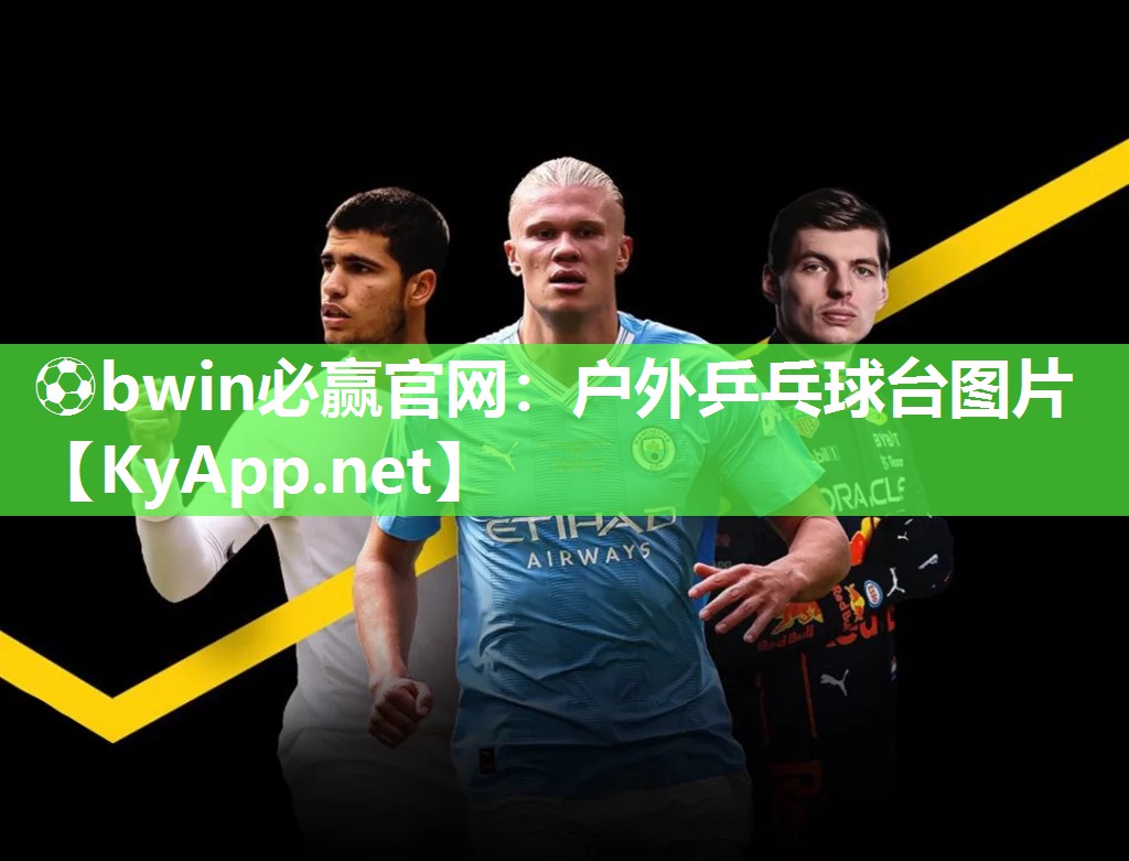 ⚽bwin必赢官网：户外乒乓球台图片