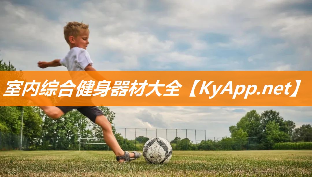 室内综合健身器材大全