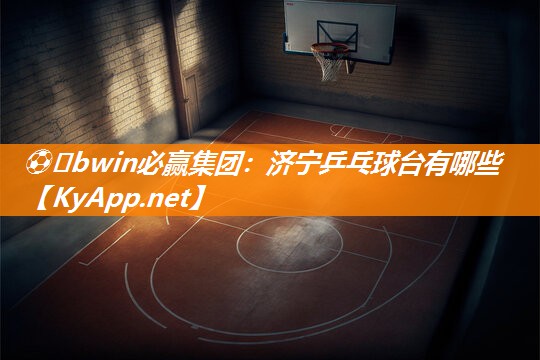 济宁乒乓球台有哪些