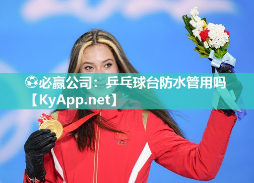 乒乓球台防水管用吗