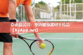 室内健身器材手拉品