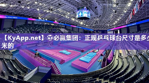 正规乒乓球台尺寸是多少米的