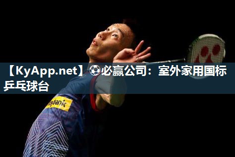 室外家用国标乒乓球台