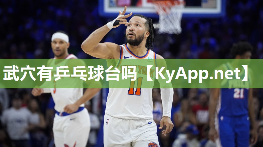 武穴有乒乓球台吗