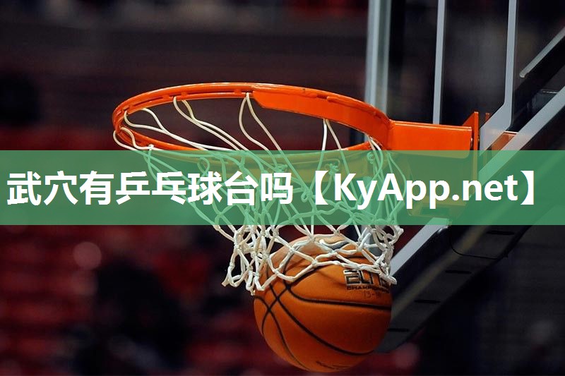 武穴有乒乓球台吗