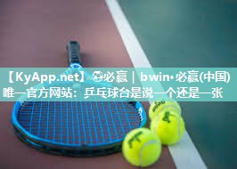 乒乓球台是说一个还是一张