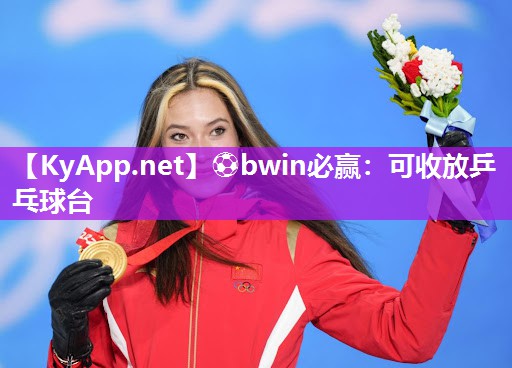 可收放乒乓球台