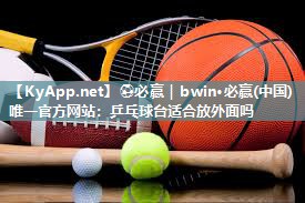 乒乓球台适合放外面吗