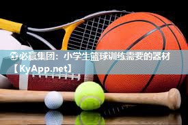 小学生篮球训练需要的器材
