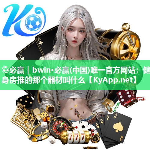 健身房推的那个器材叫什么