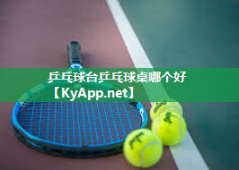 乒乓球台乒乓球桌哪个好