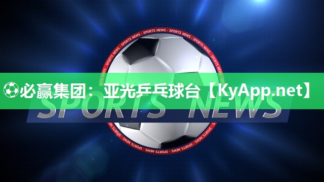 亚光乒乓球台