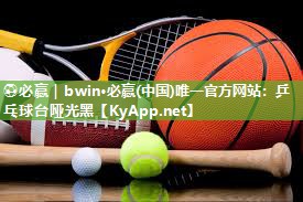 乒乓球台哑光黑
