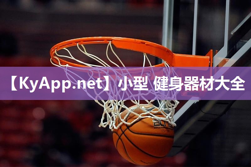 小型 健身器材大全