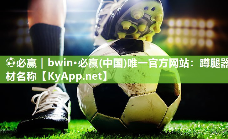 蹲腿器材名称