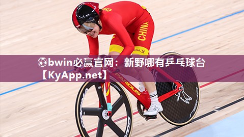 新野哪有乒乓球台