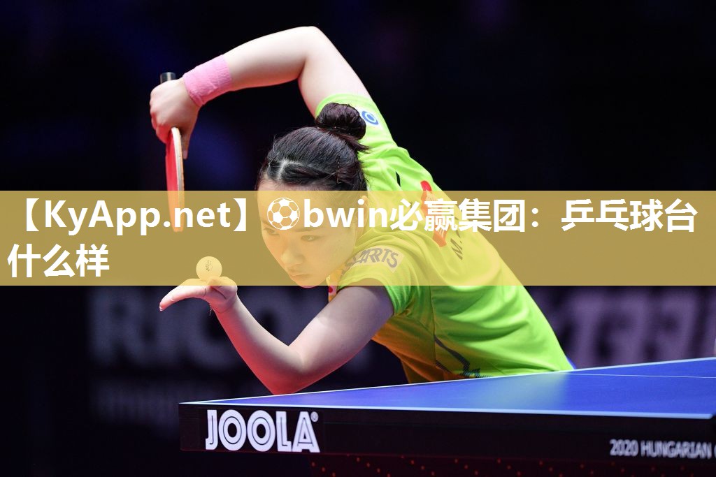 乒乓球台什么样