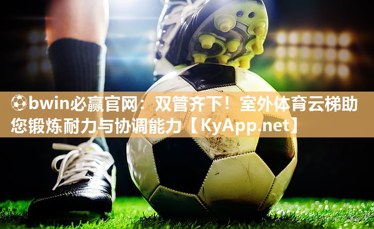 双管齐下！室外体育云梯助您锻炼耐力与协调能力