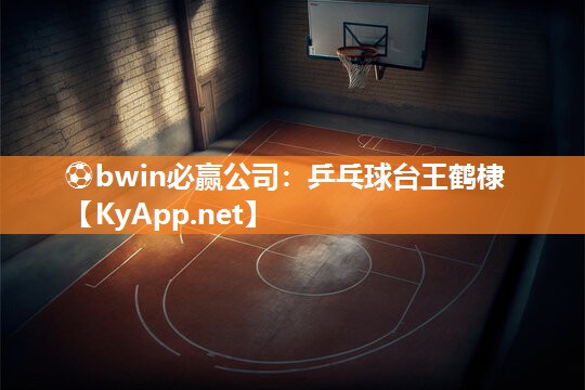 乒乓球台王鹤棣