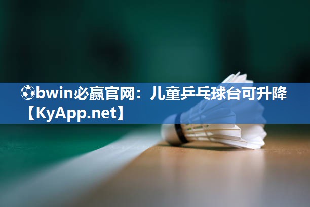 儿童乒乓球台可升降