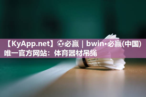 体育器材吊绳