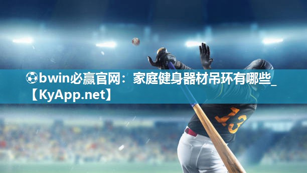家庭健身器材吊环有哪些_