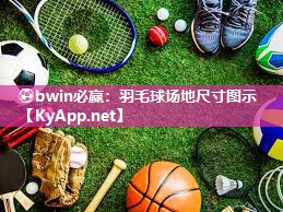 羽毛球场地尺寸图示