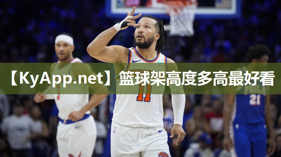 篮球架高度多高最好看