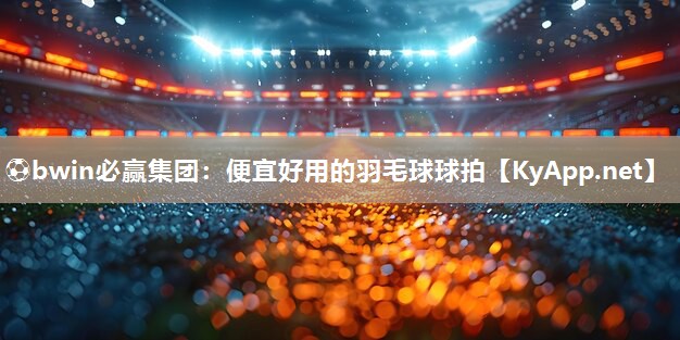 便宜好用的羽毛球球拍
