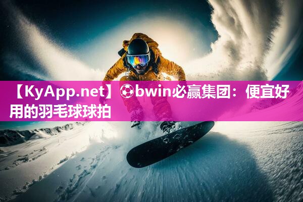 便宜好用的羽毛球球拍
