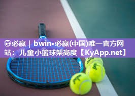 儿童小篮球架高度