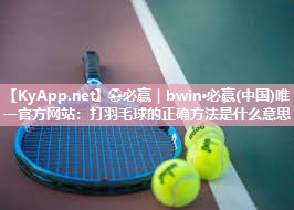 打羽毛球的正确方法是什么意思