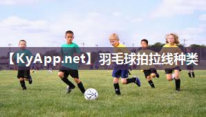 羽毛球拍拉线种类