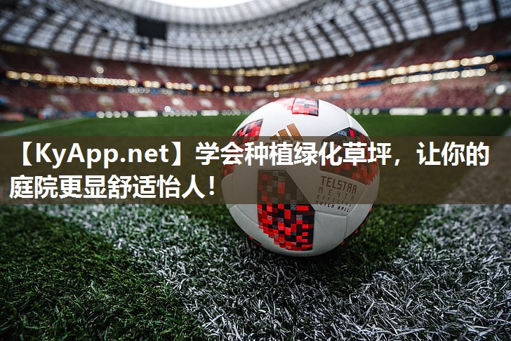 学会种植绿化草坪，让你的庭院更显舒适怡人！